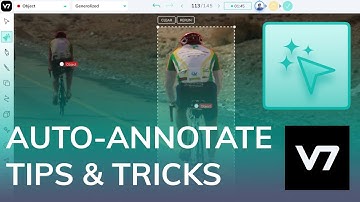 Automated Polygon & Mask Labelling with Auto-Annotate - V7 AI Academy