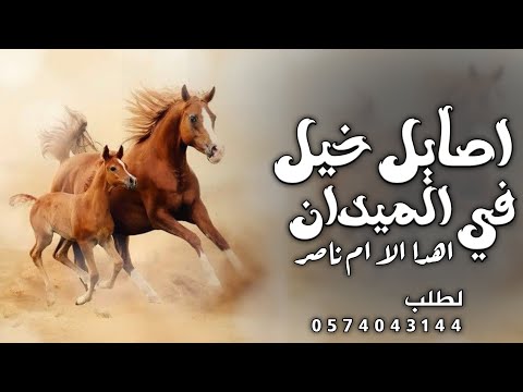 شيله اصايل خيل في الميدان 2025اهدا الى ام ناصر تهنئه باسم ام ناصر مميزه بصوت الفخمه متعب الخيل