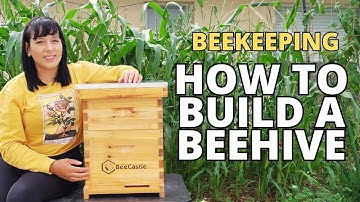 How to Build Your First Langstroth Beehive! BeeCastle Beehive Build & Review #beehive #beekeeping