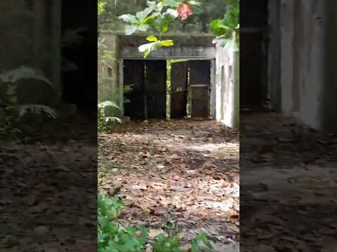 Наткнулись в джунглях на заброшенную тюрьму! #shorts