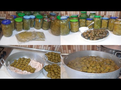 Video: Bulbous Və Yumrulu Qapalı çiçəklər (46 şəkil): Evdə Qulluq. Ağ çiçəkləri Və Uzun Geniş Yarpaqları Olan Bitkilər, Digər Növlər