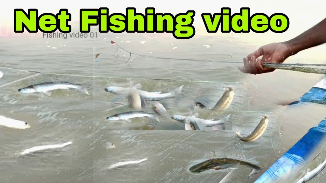 Brahmaputra river Fishing video। best Fishing video. Fishing video 01.