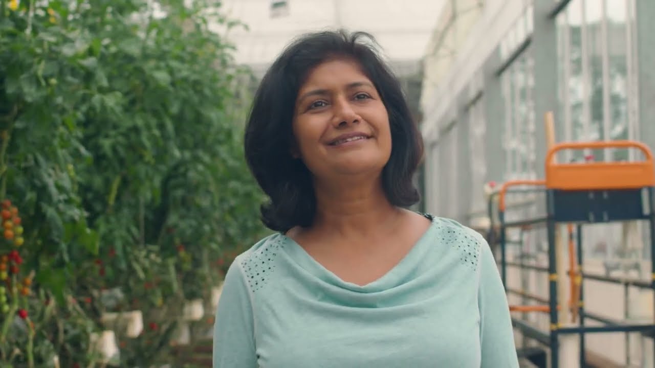 Victorian Energy Upgrades Program - Lonsdale Tomatoes