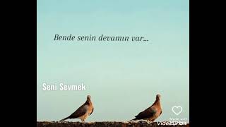 Seni Sevmek (Şiir) #süleymanzorman