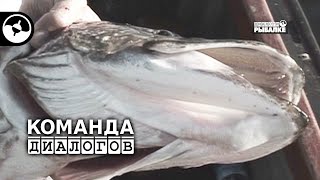 Летняя рыбалка. Первая неделя июня | Календарь рыболова