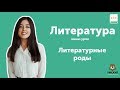 Литературные роды | ЛИТЕРАТУРА ЕГЭ 2019 | Мини-урок |  УМСКУЛ