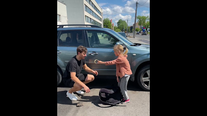 Stranger"s Heartwarming Act of Kindness: Rescuing a Helpless Puppy from a Hot Car