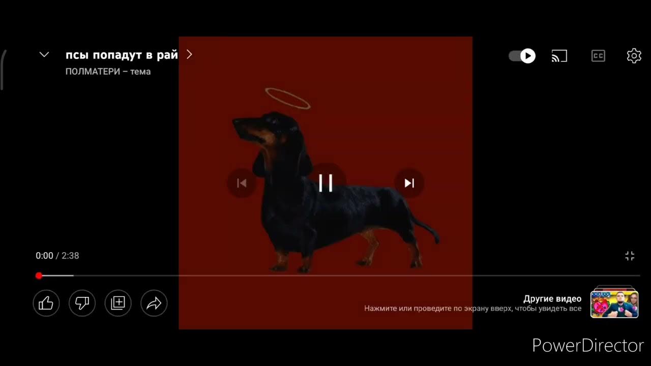 псы попадают в рай полматери. все псы попадают в рай. собака полматери. все псы попадают в рай итчи. псы попадают в рай полматери обложка.