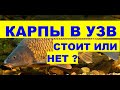 КАРПЫ В УЗВ, СТОИТ ИЛИ НЕТ ?