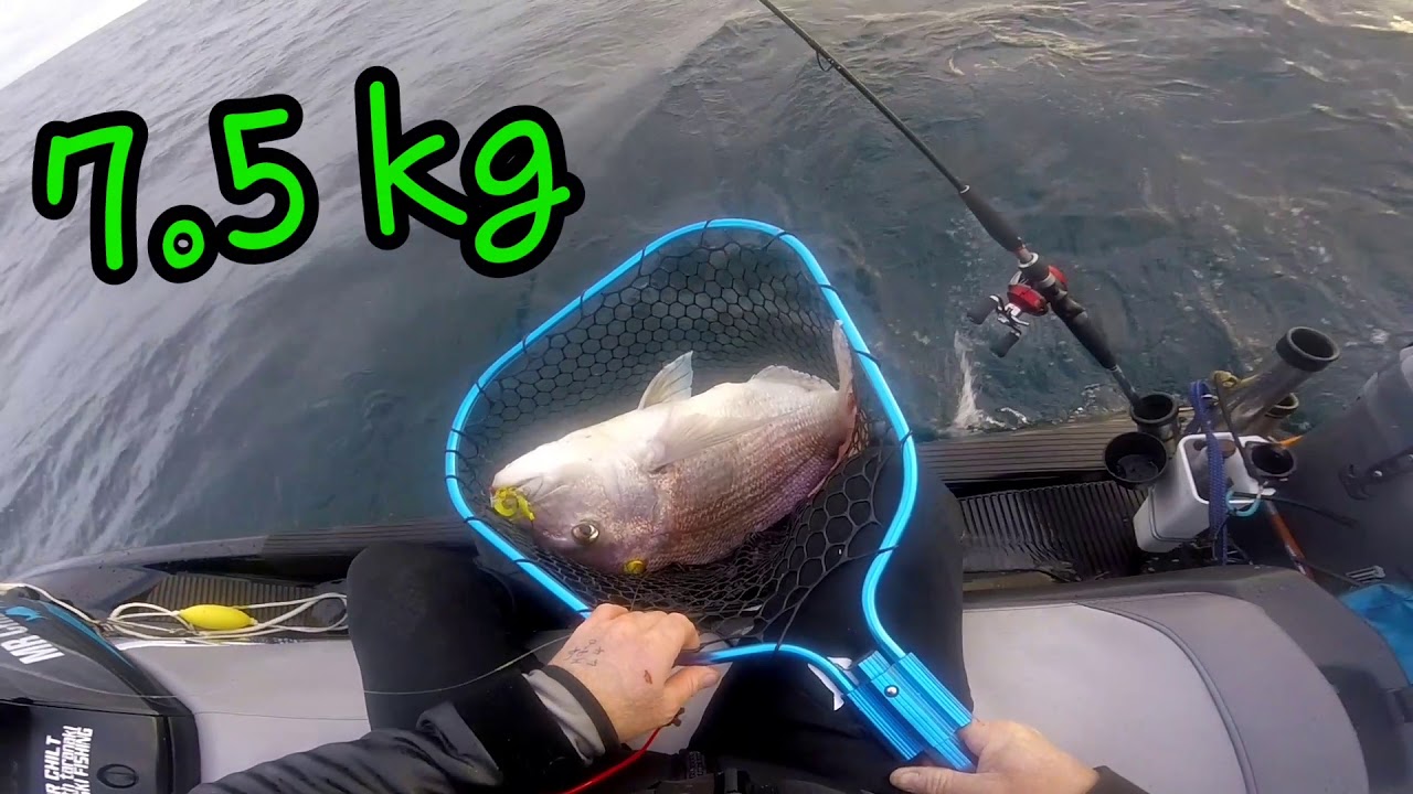 22/5/20 3 nice snaps quick blast home YouTube