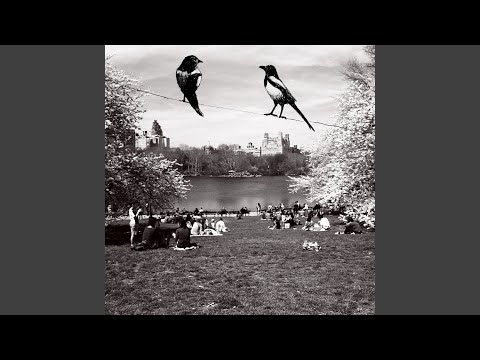 Magpie - Ella Hunt