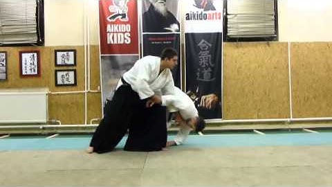 gyakuhanmi katatedori udekimenage omote [TUTORIAL] Aikido empty hand basic technique
