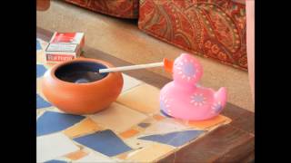 coin coin.wmv