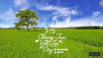 CÓ CHÀNG TRAI VIẾT LÊN CÂY | FLYCAM CÂY CÔ ĐƠN GIỮA CÁNH ĐỒNG LÚA VỚI ĐÀN CÒ TRẮNG