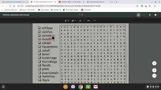 buscapalabras/word search screenshot 4