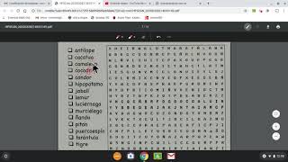 buscapalabras/word search screenshot 5