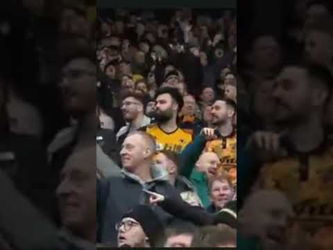 fights break out with fans on pitch #football #westhamunited #wolves #wolverhampton #breakingnews
