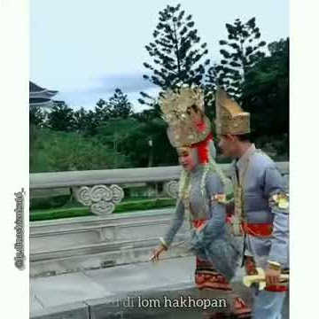 STORY WA LAGU LAMPUNG||LAMBAN PAPAN✨