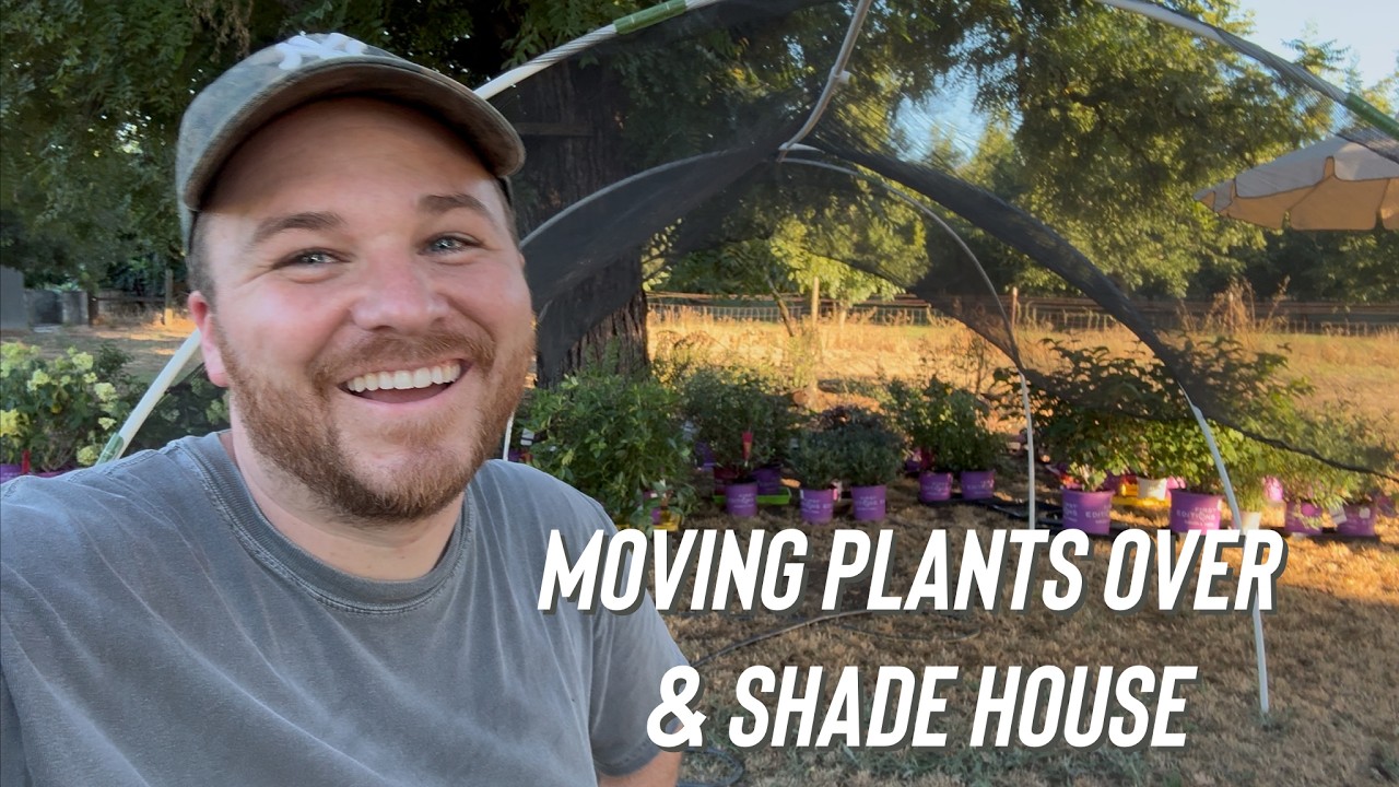The Great Plant Migration (Moving The Plant Hoard)