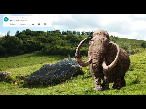 Video: Mengapa Mammoth Pupus? - Pandangan Alternatif