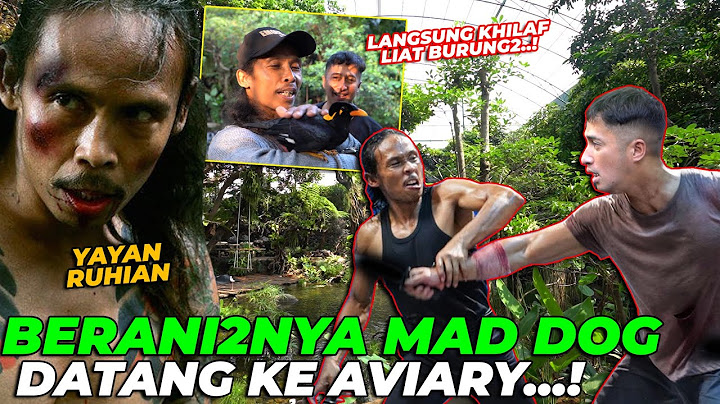 KACAU..! MAD DOG SERBU AVIARY..! KICAUAN BURUNG TERDENGAR SEMUA..!