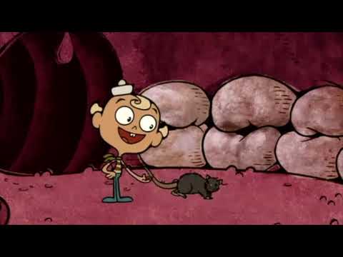 The Marvelous Misadventures Of Flapjack Season 2