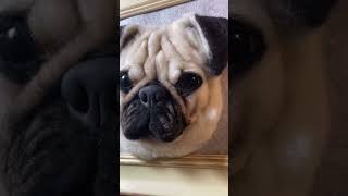 The Perfect Gift for Pet Lovers – Custom Needle Felted Portraits