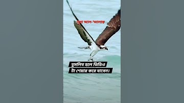 সূরাঃ ৯৬/ আল-আলাক | Al-Alaq | سورة العلق আয়াতঃ ১৯ মাক্কী  #islamic #kuran #surah #fyp #foryou