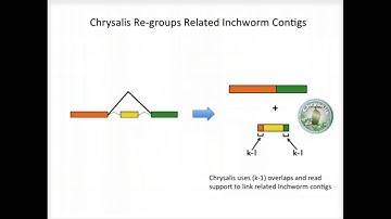 BroadE: Trinity - How it works