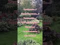 А кто не знал об этом?#смехпродлеваетжизнь#юмор