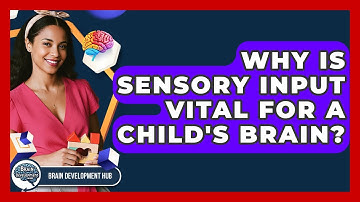 Why Is Sensory Input Vital For A Child