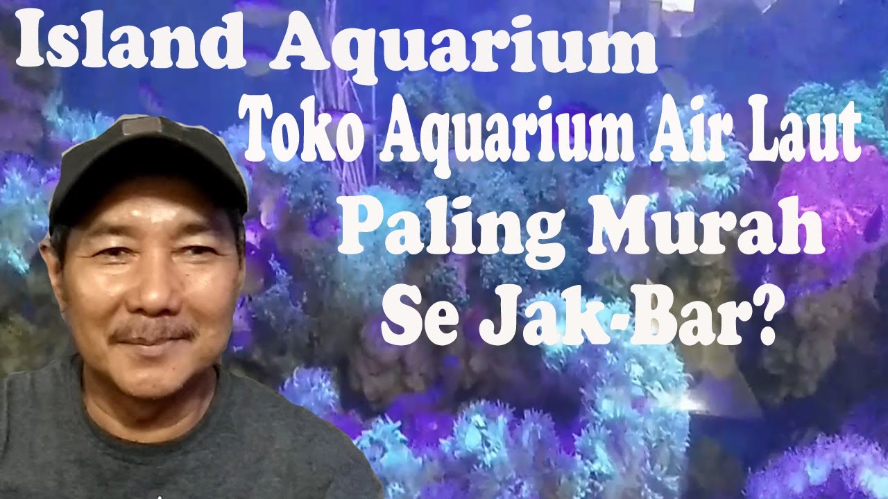  Toko  Aquarium Air Laut Paling Murah Se Jakarta  Barat  YouTube