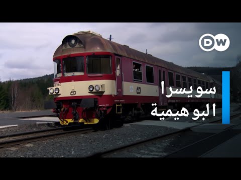 فيديو: 10 أنواع مختلفة من المزارعون