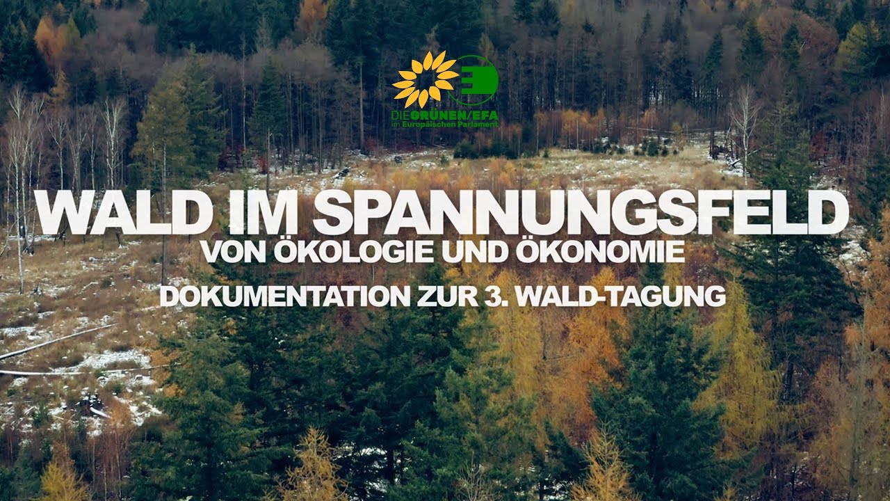 3. Waldtagung: Wald im Spannungsfeld von Ökologie und Ökonomie: - YouTube