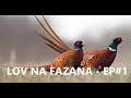 Lov na fazane - Banatsko Veliko Selo (18.10. 2020.)