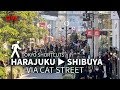 Harajuku to Shibuya via Cat’s Street