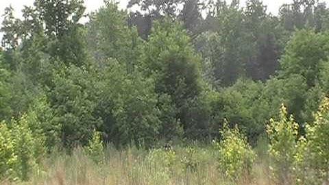 Down South Ammo (Southern Thunder)  Exploding Targets