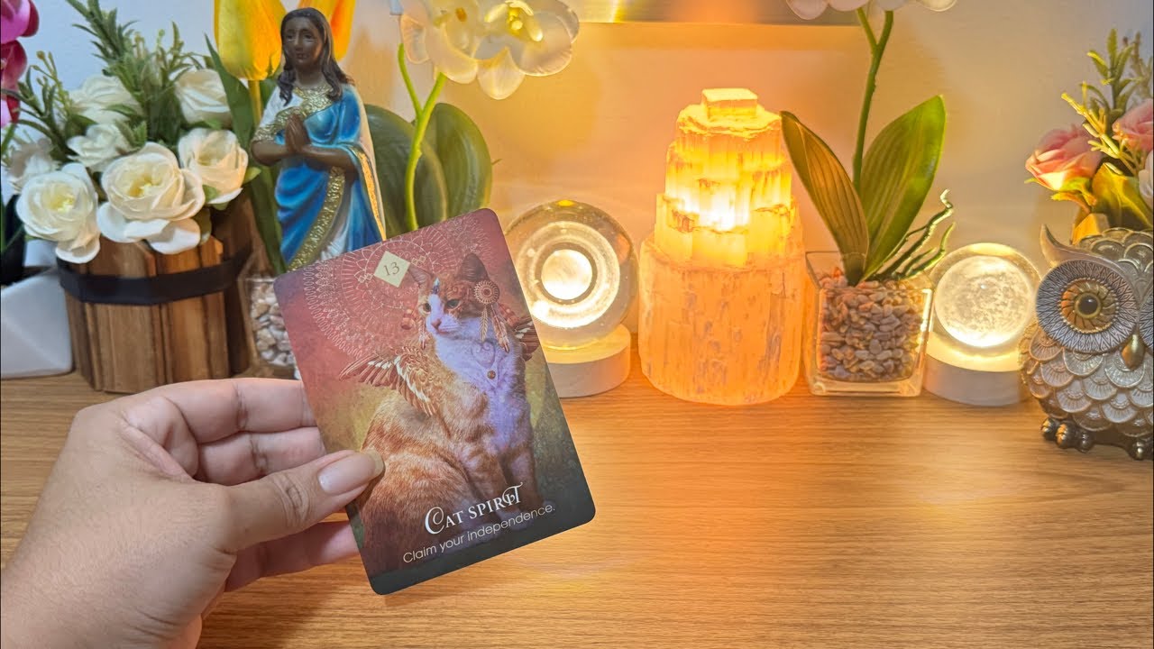 Como VAI FICAR suas FINANÇAS em JUNHO?