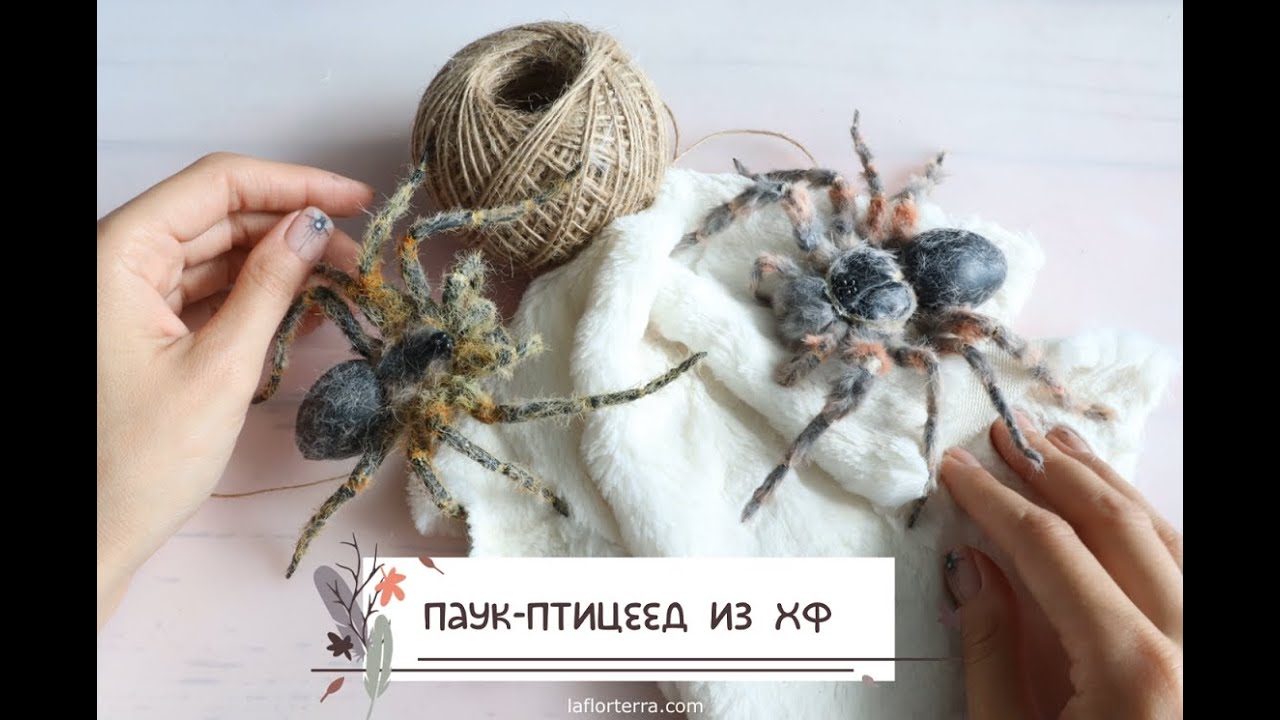 ВИДЕОУРОК: паук-птицеед из холодного фарфора