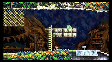 Braid mod Firefly 1-1 (FINAL)