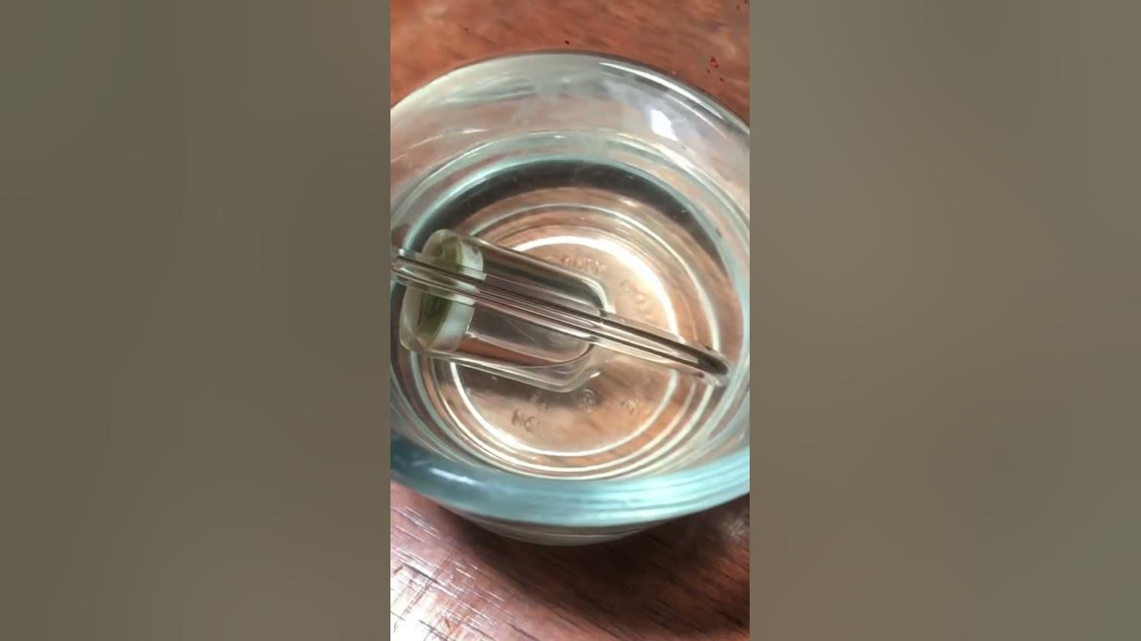 How to clean your Co2 diffuser! (Easy!)
