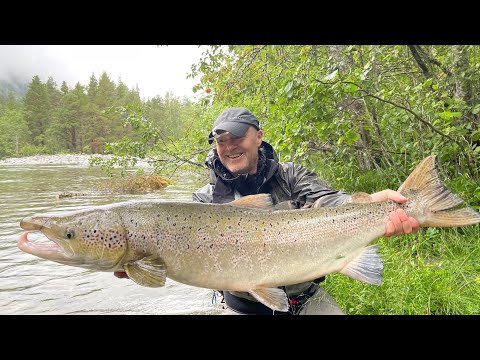 Video: Hva Kan Tilberedes Av Laksefilet