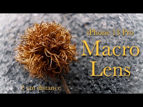 iPhone 13 Pro - Macro Lens Video Test