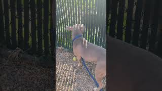 Venza And Casper Pt 1