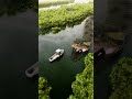 Giant anaconda snake attacks small boat