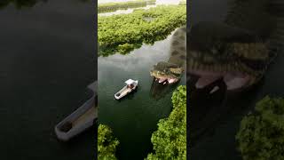 Giant Anaconda snake attacks small boat