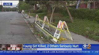 Young Girl Killed, 2 Others Seriously Hurt In Harbor City Hit-And-Run