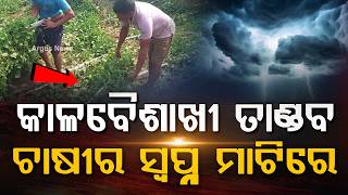 କାଳବୈଶାଖୀ ତାଣ୍ଡବ | Kalabaishakhi Havoc in Athagarh: Massive Crop Loss For Potala Farmers |Argus News