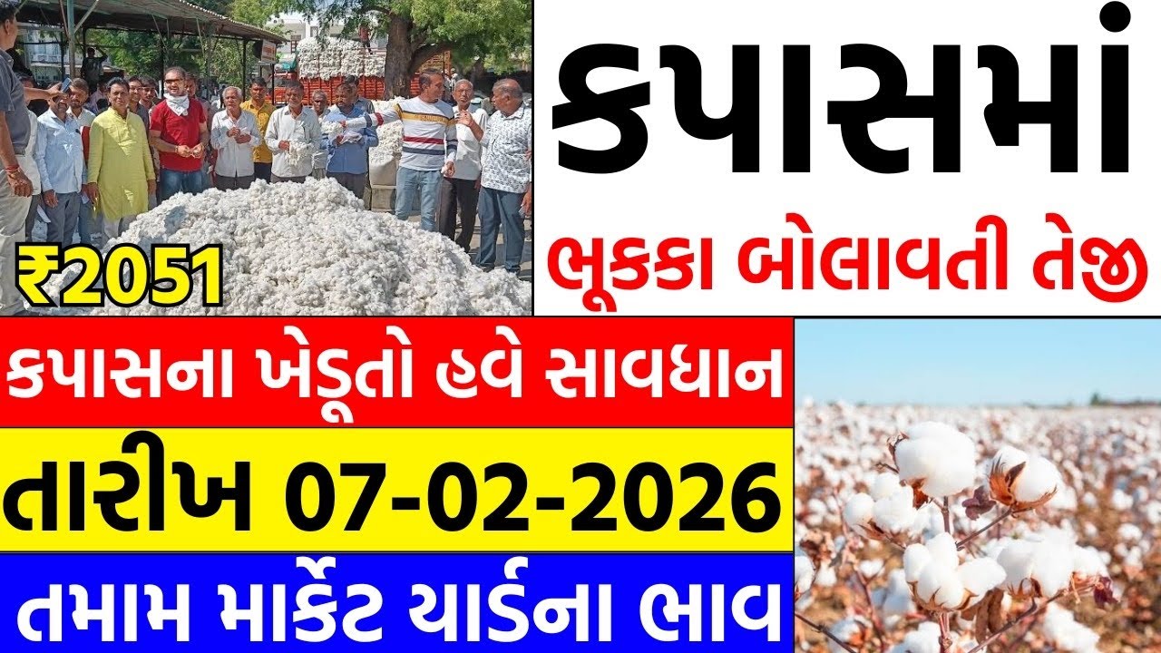 Kapas na bhav | 07-02-2026 | કપાસના ભાવ:2025 | Information about Cotton Crop Price | Commodity trend
