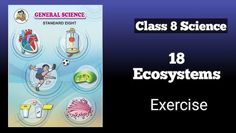 Class 8 science/Ecosystems/chapter 18/Exercise with answers #class8science